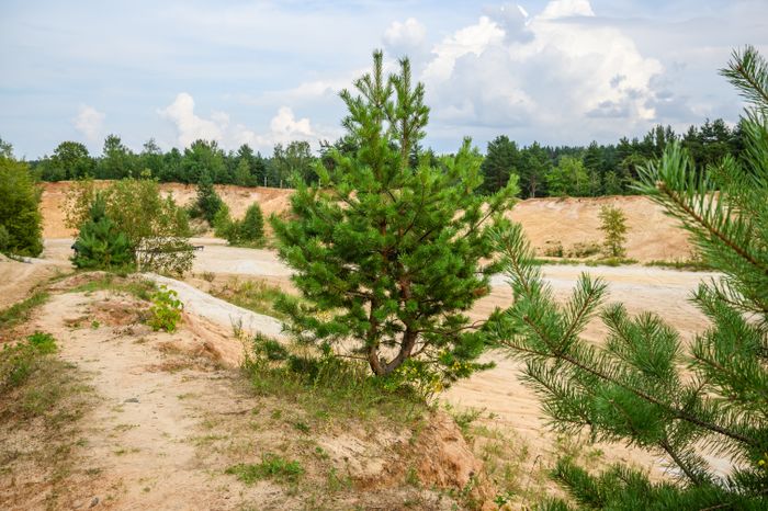 Волкушинский карьер в Лыткарино