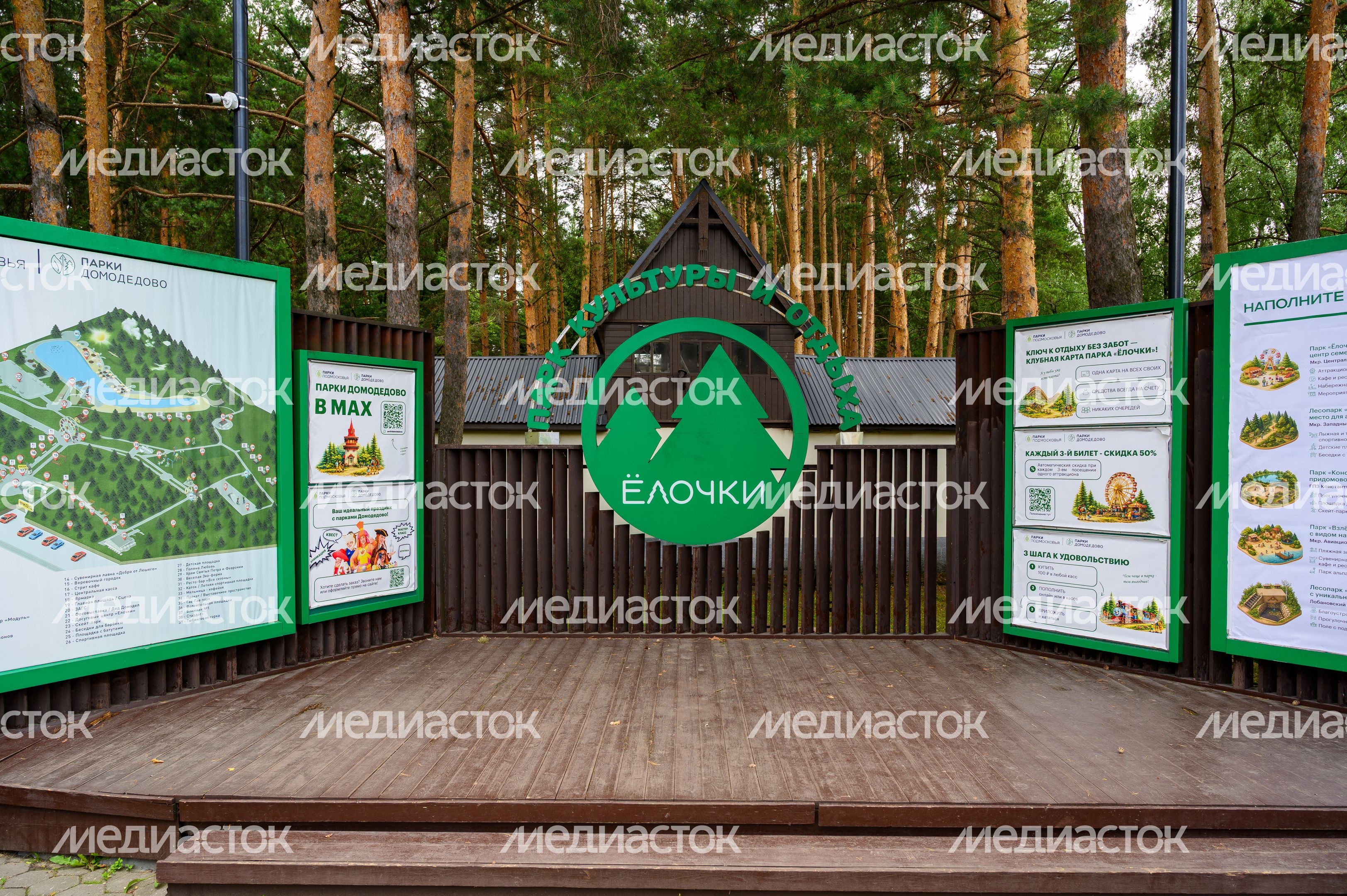 Лето в парке «Елочки» Домодедово