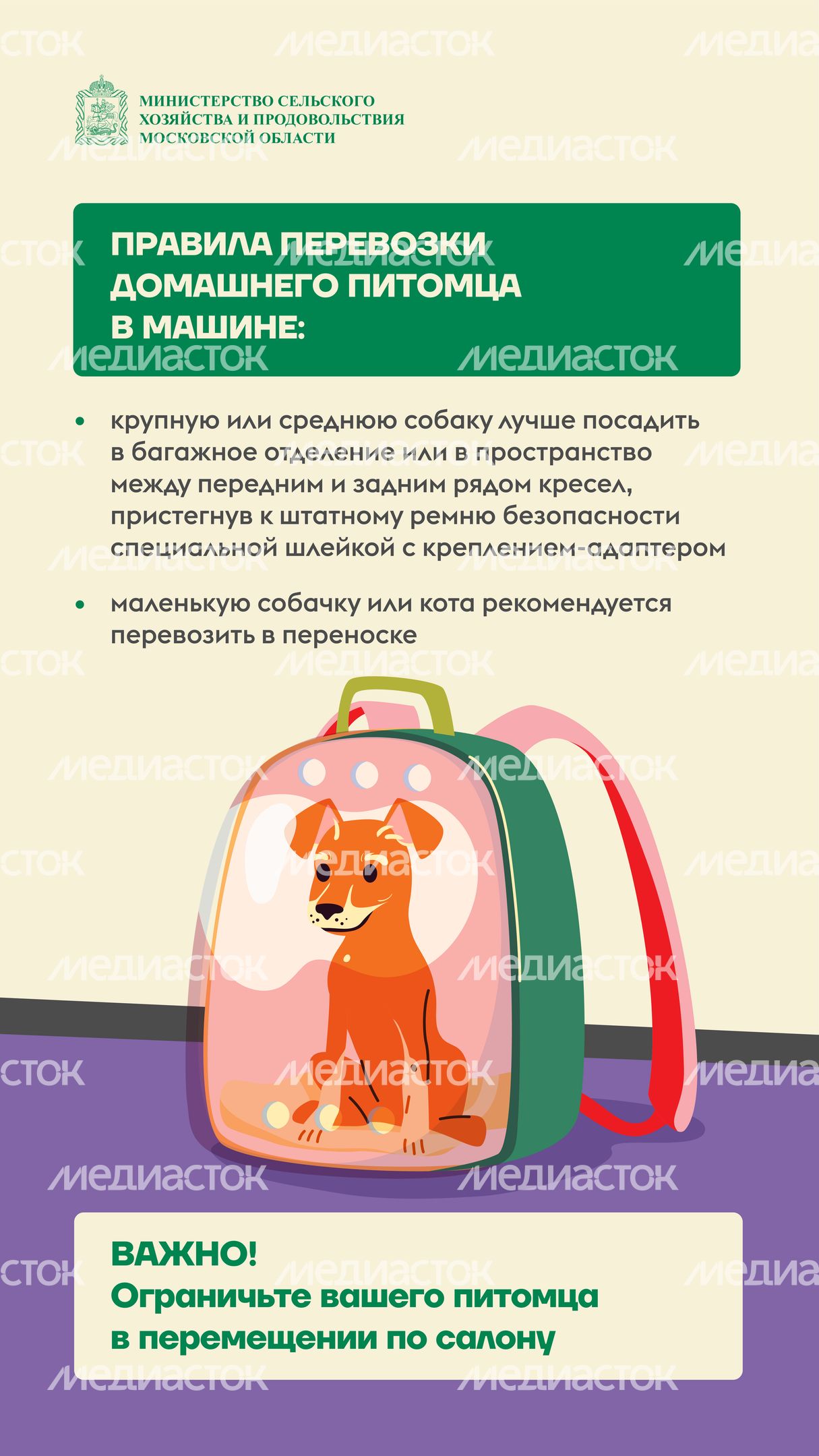животные на даче вертикаль (4)