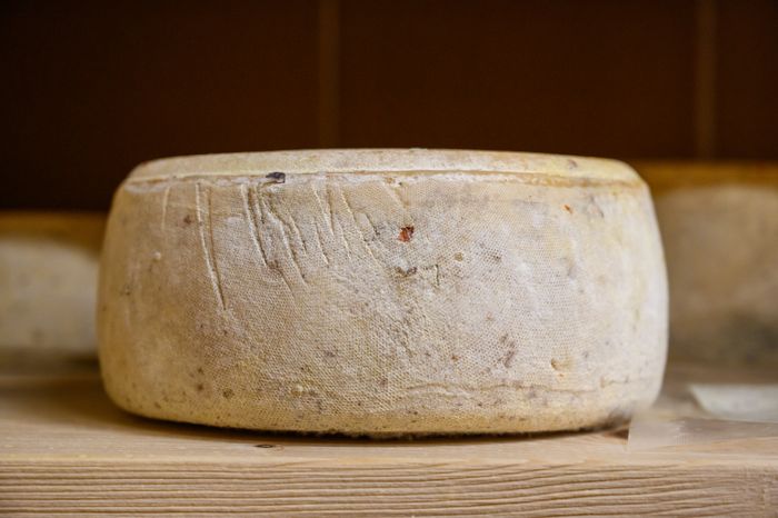 Экоферма «Былинкино» в Луховицах – козья ферма, сыроварня и экоотель