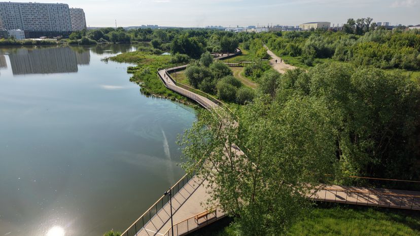 Благоустройство парка "Дружба" в Люберцах
