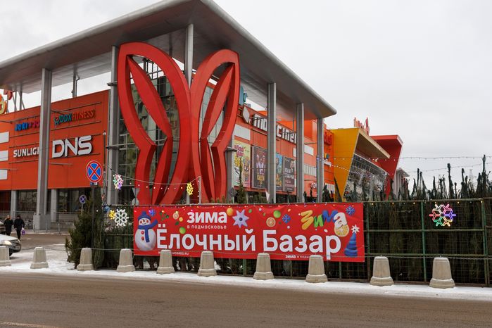Елочный базар на улице Мира в Мытищах