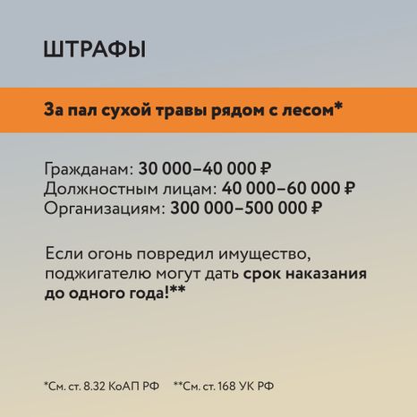 Пал травы