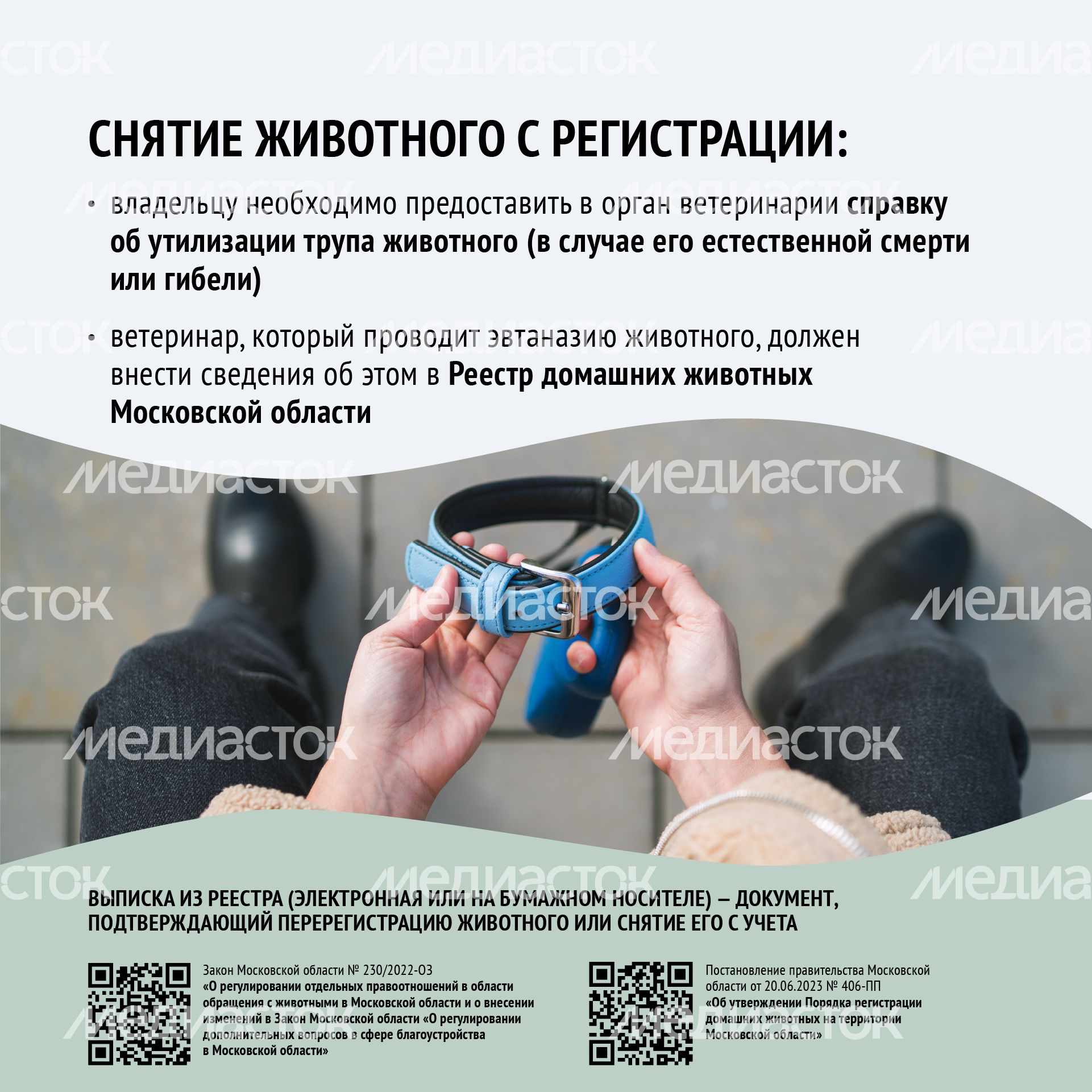 Зарегистрировать домашнее животное ред 2-квадрат-10.png