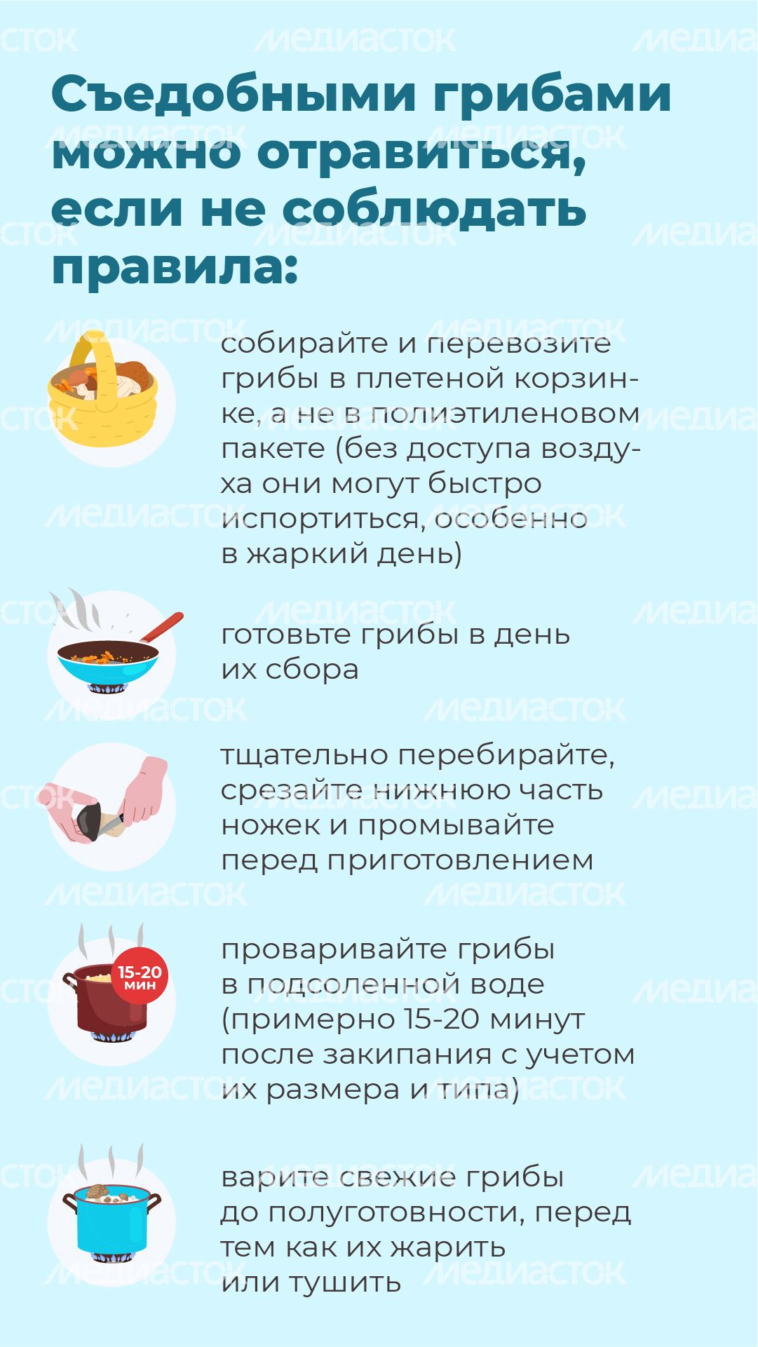 17 Вертикаль_грибы_07-100