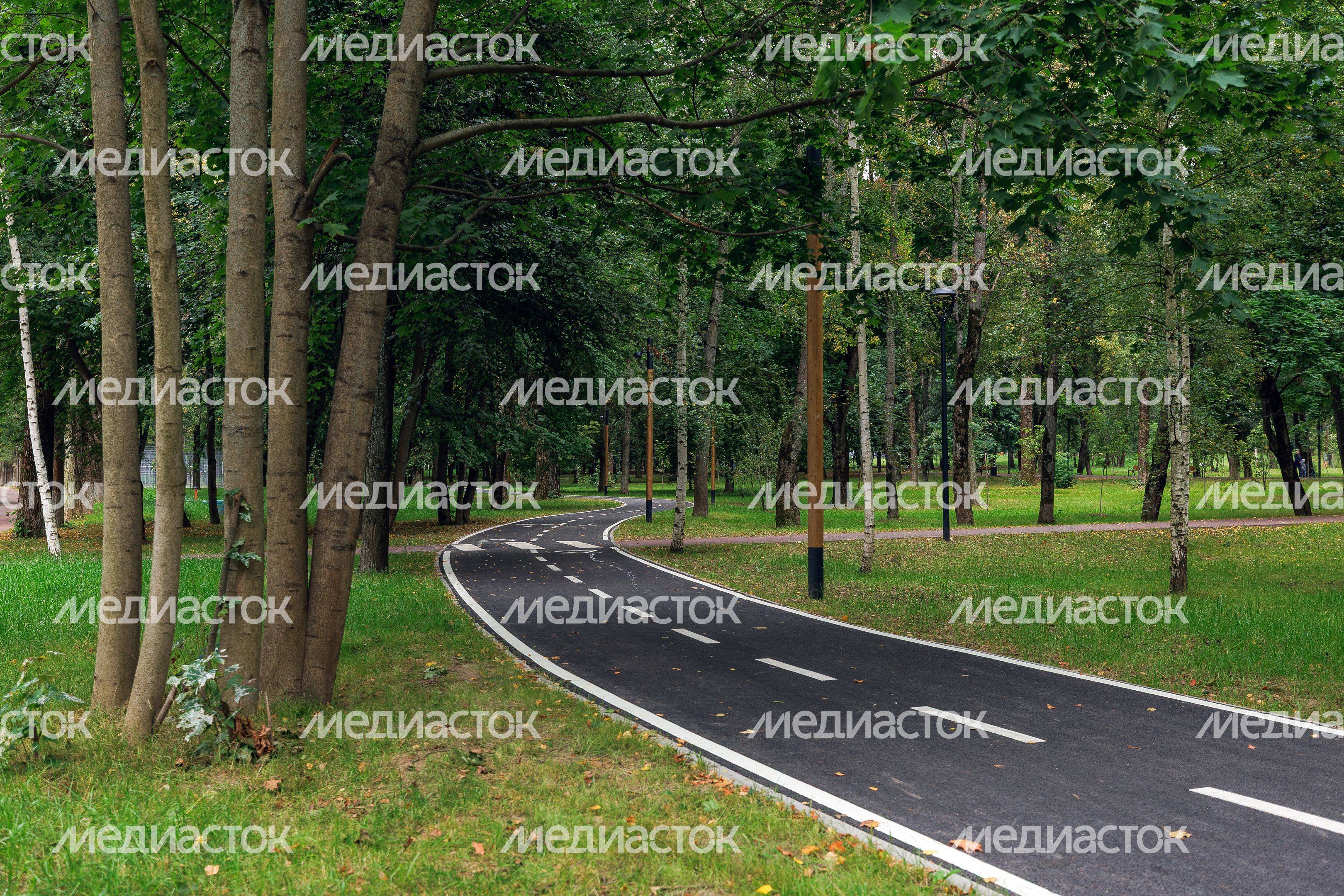 Велодорожка в Щелковском центральном городском парке после благоустройства Велодорожка в Щелковском центральном городском парке после благоустройства