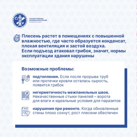 Квадрат Плесень 03.jpg