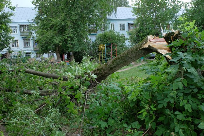 Последствия урагана в Павловском Посаде