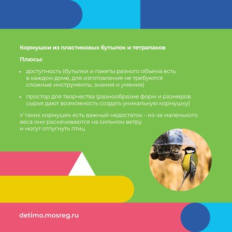 синичкин_день_квадрат_07.jpg