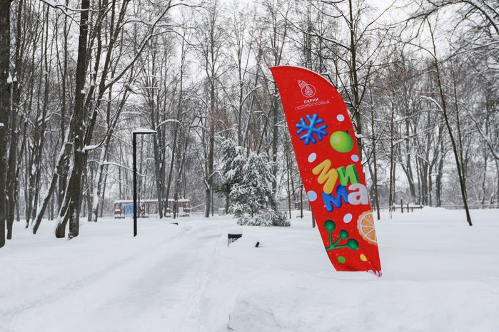 Зима в Лосино-Петровском парке