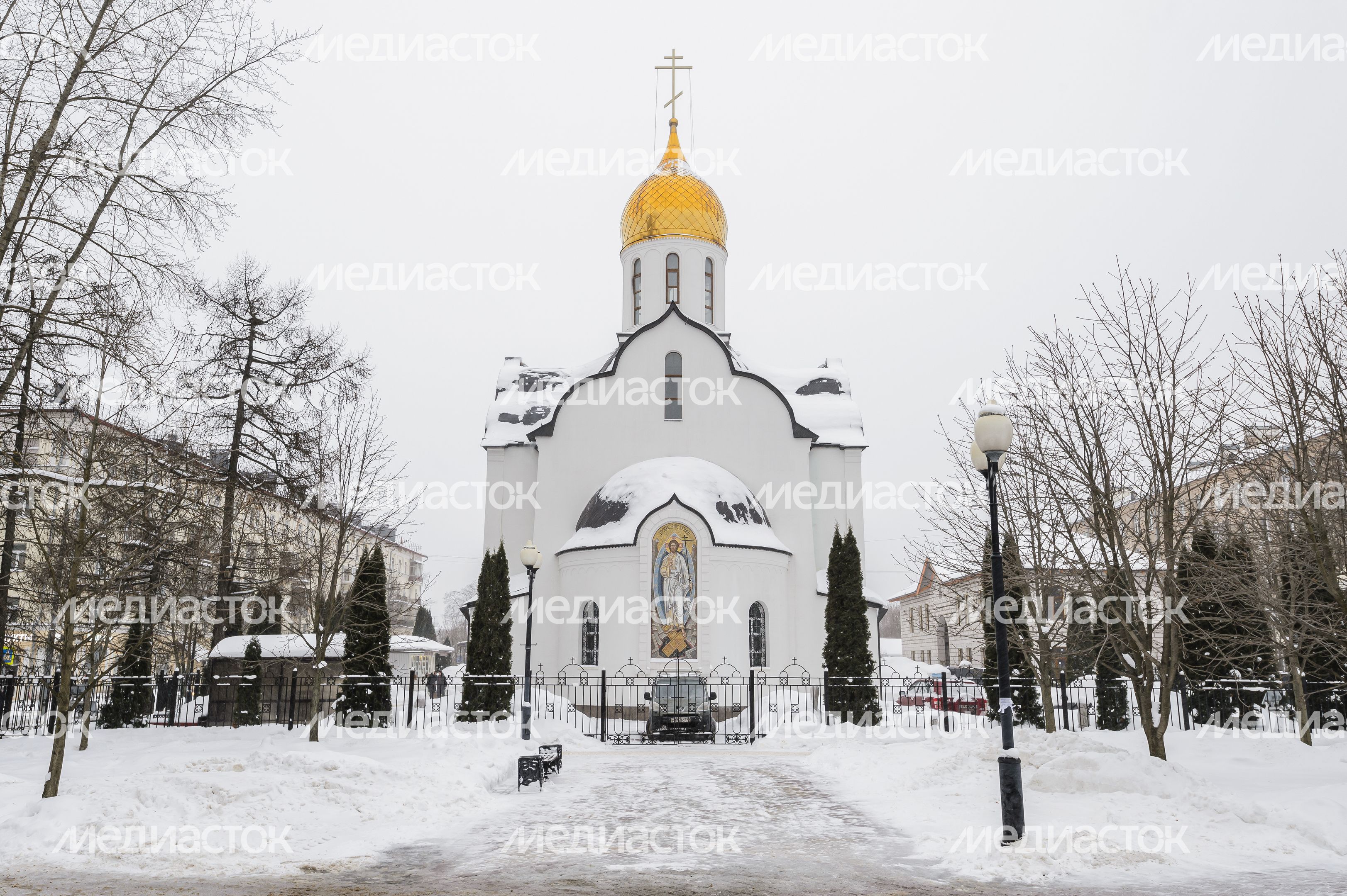 Храм Александра Невского в Балашихе