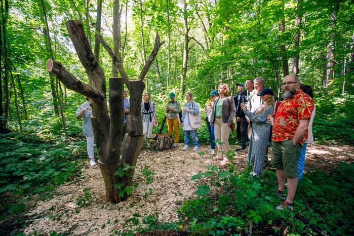 Прогулка по художественно-терапевтической тропе «Лес» в Горках Ленинских