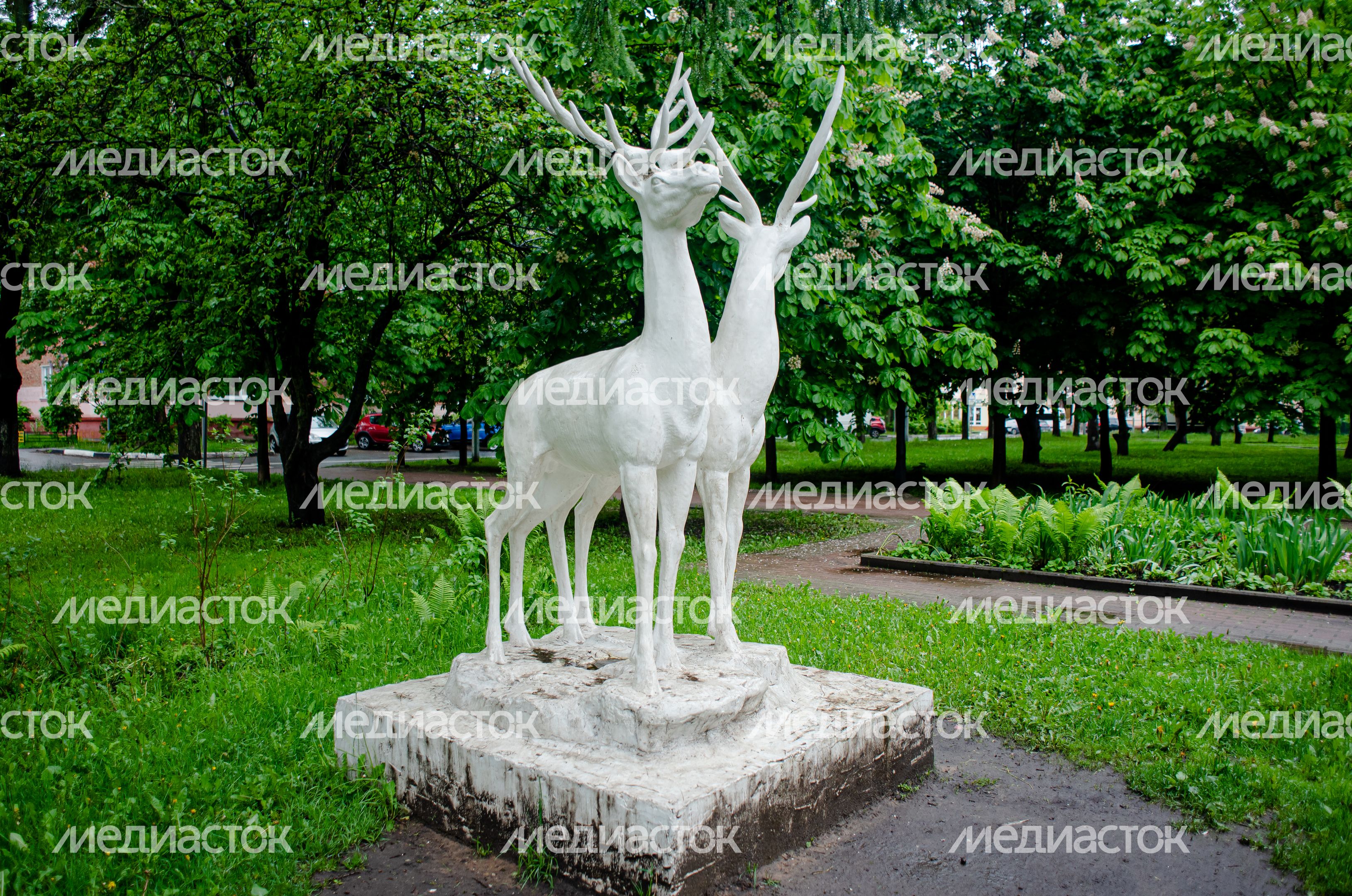 Летние виды города Балашиха