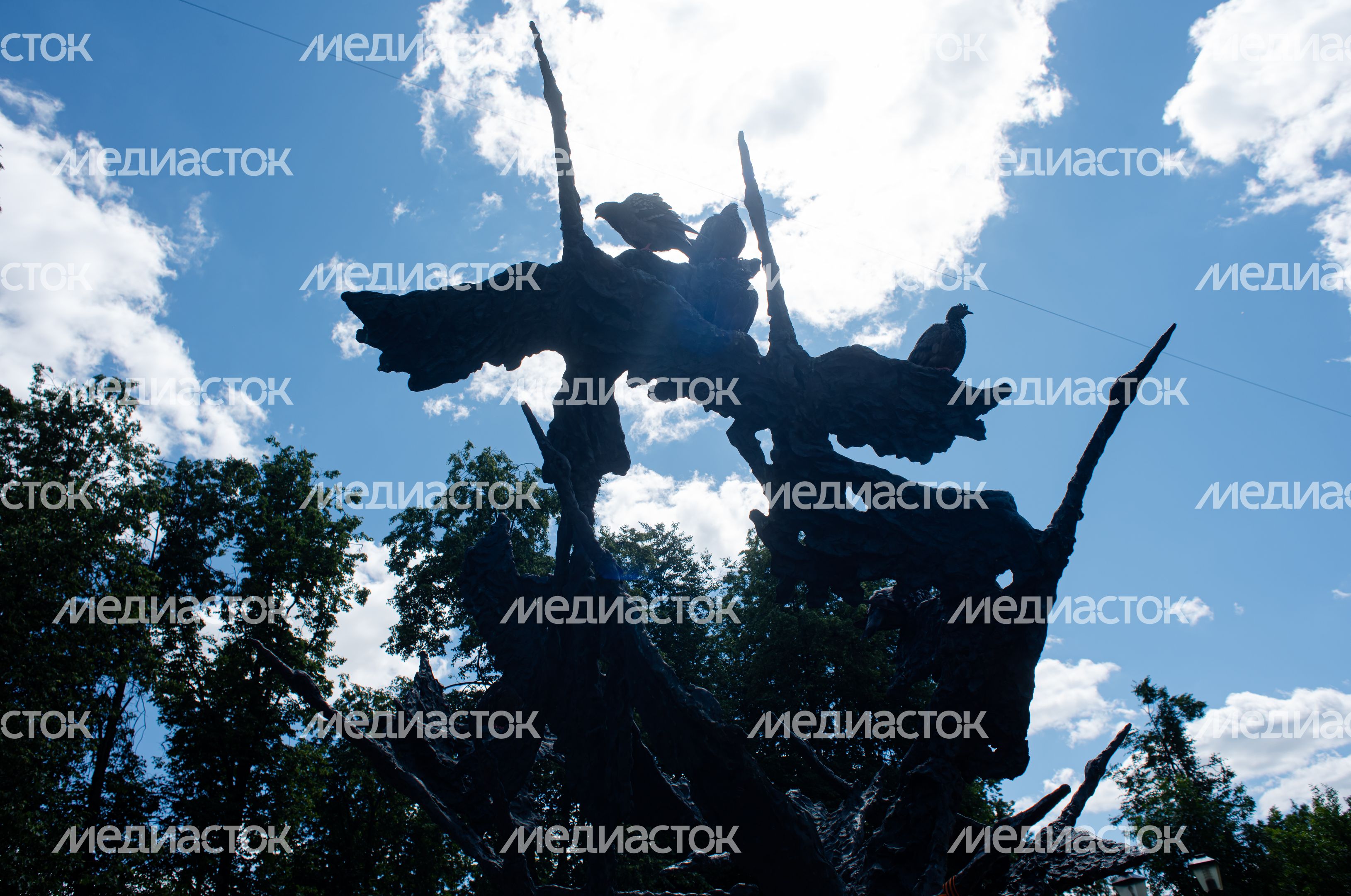 Летние виды города Ивантеевка