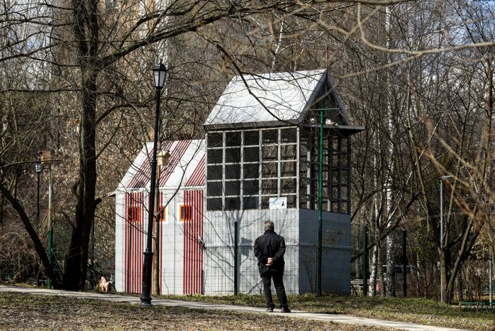 Голубятня в Москве