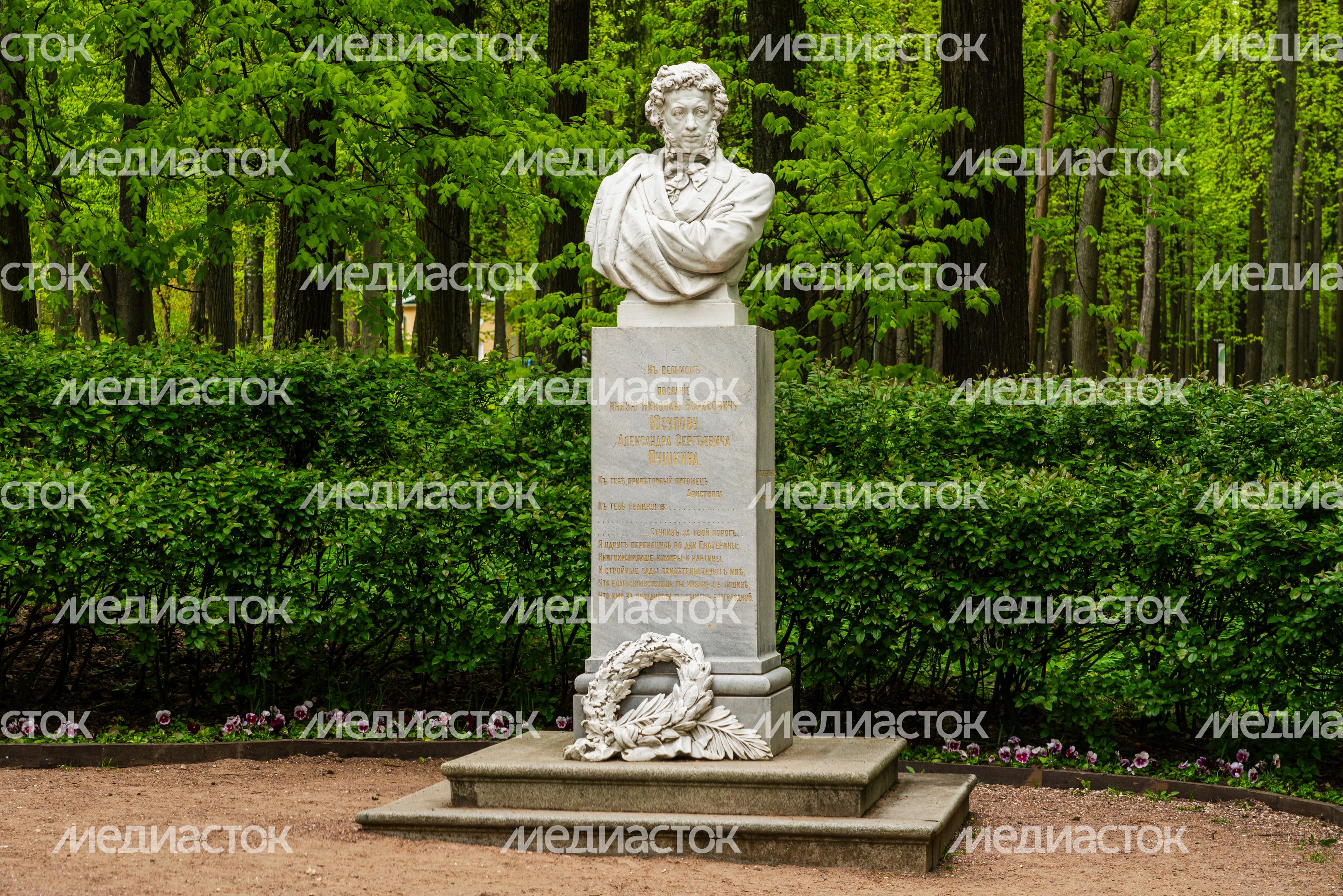 Бюст А.С. Пушкина в парке усадьбы Архангельское Бюст А.С. Пушкина в парке усадьбы Архангельское