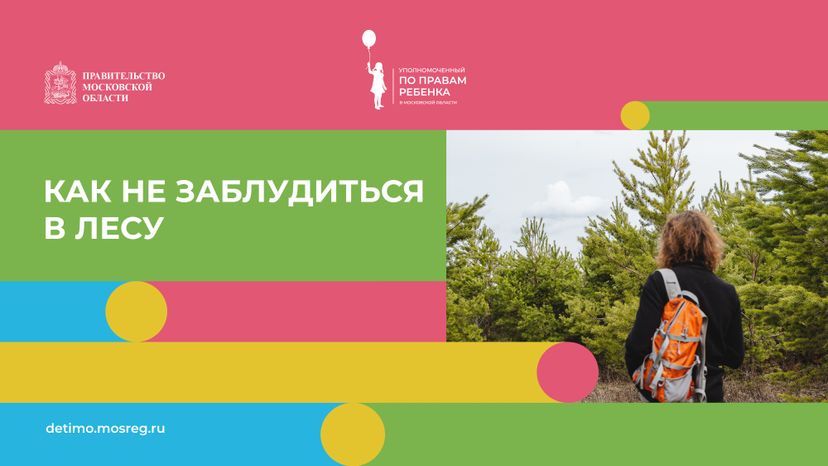 горизонталь как не заблудиться в лесу.jpg