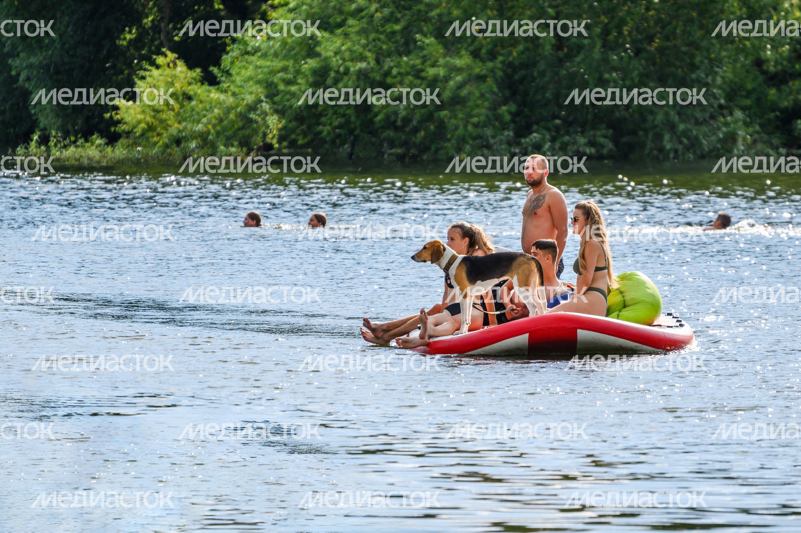 Городской пляж Зарайска Городской пляж Зарайска