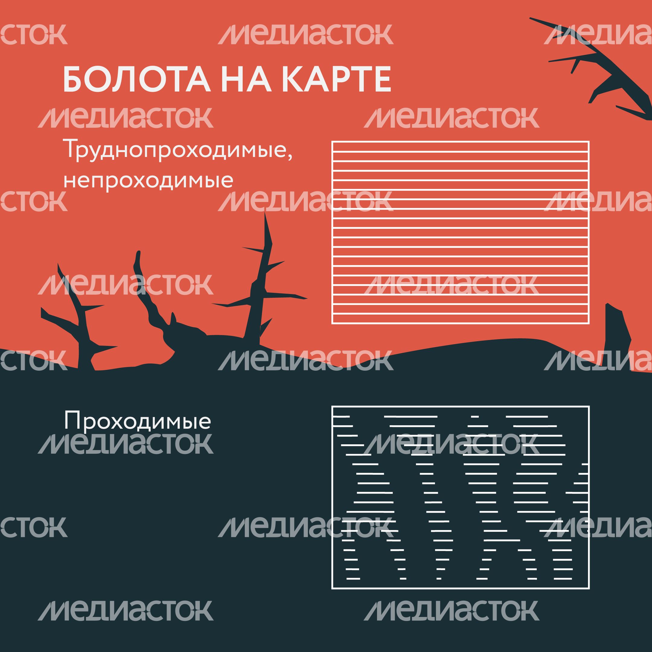 Болото-Квадрат-04.jpg