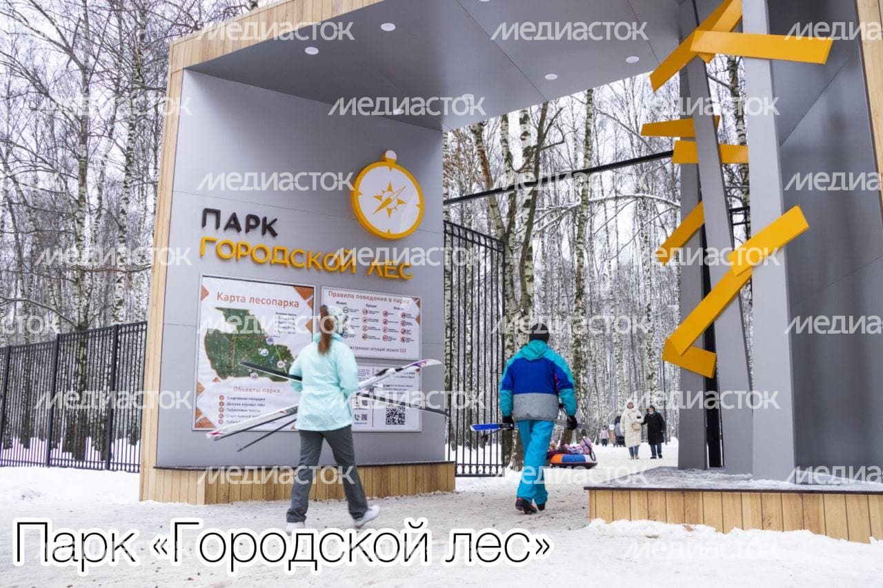Рабочая встреча Губернатора Подмосковья с главой городского округа Домодедово
