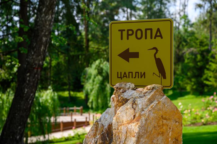 Каменная тропа в лесопарке «Ближняя дача» в Мытищах