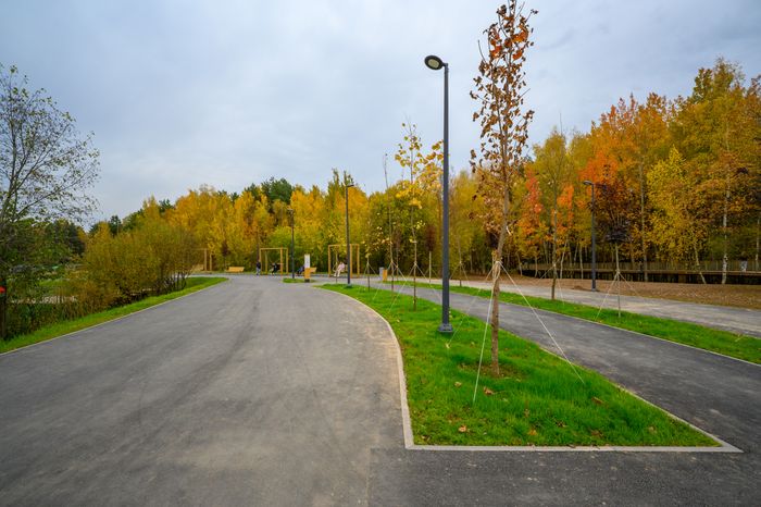 Парковка у лесопарка «Спутник» города Щелково осенью