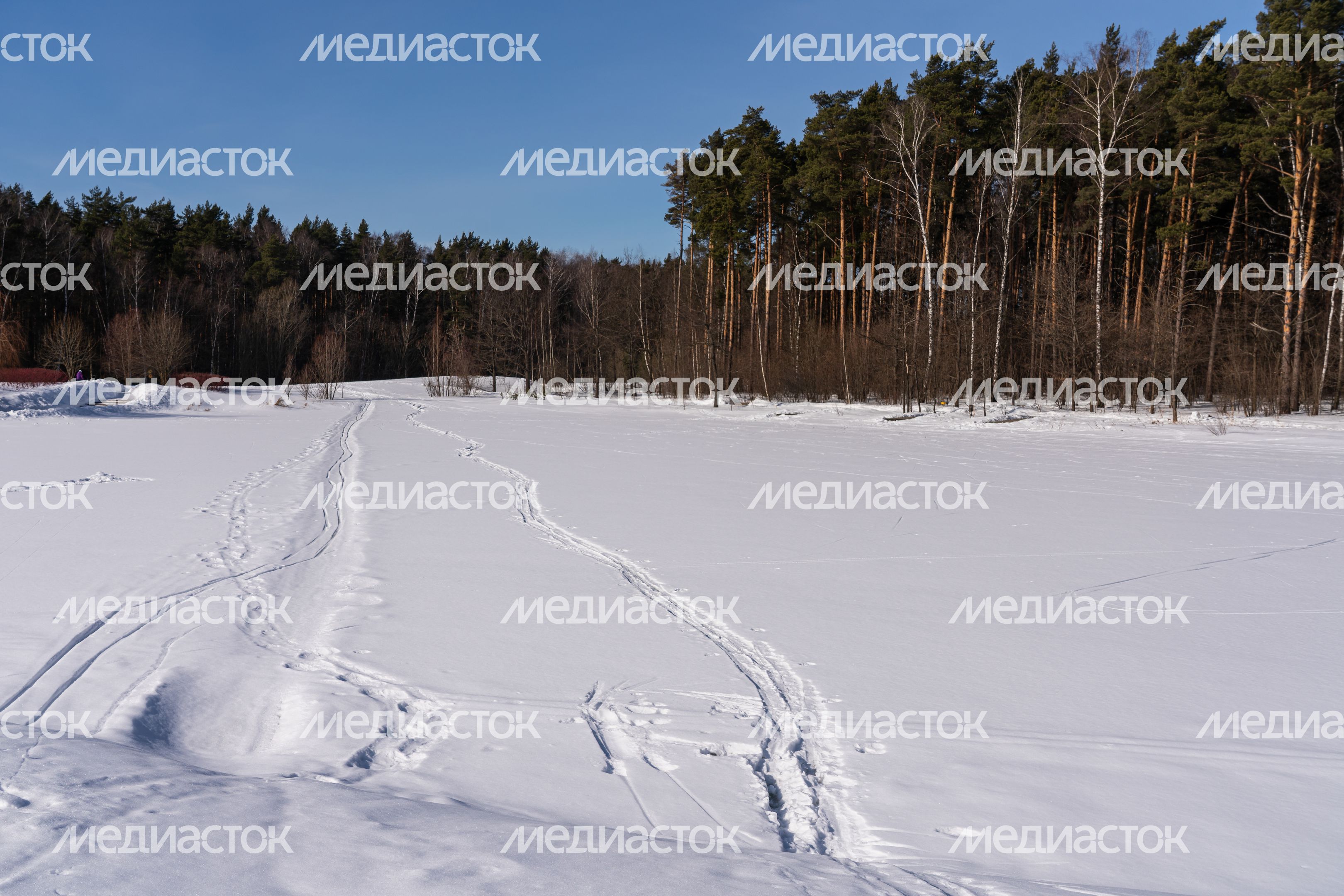 Мещерский парк в Одинцово зимой Мещерский парк в Одинцово зимой