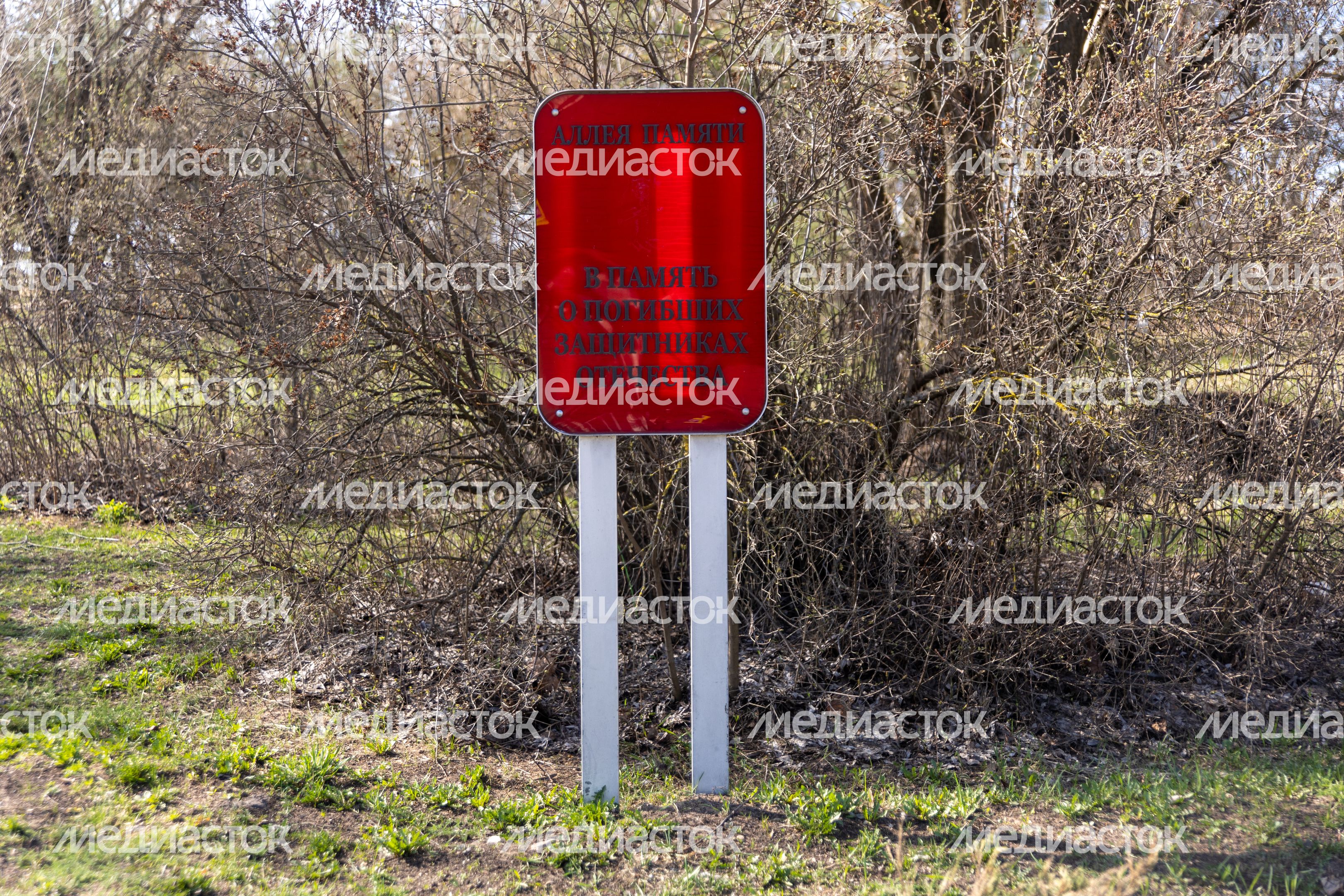 Аллея памяти