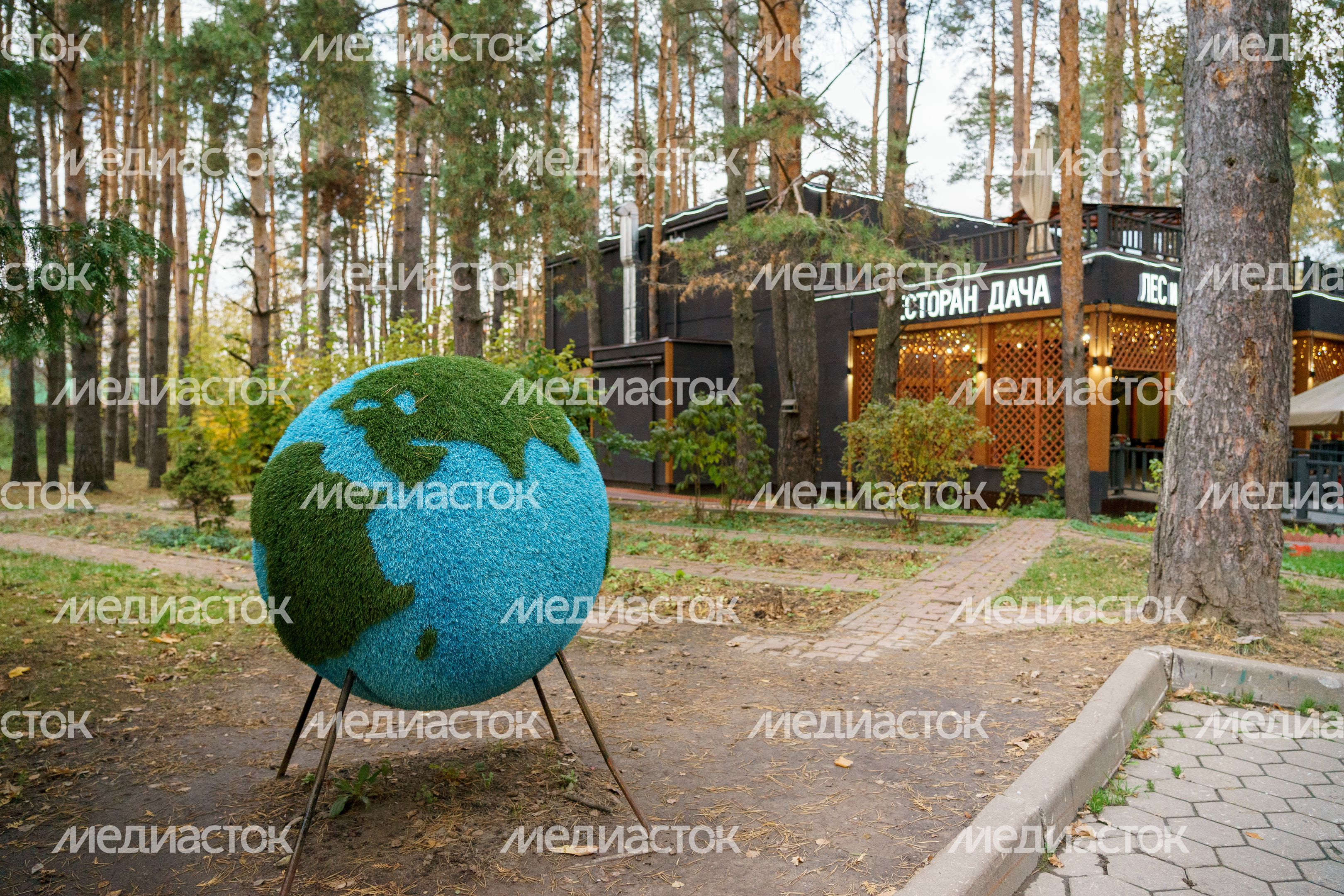 Домодедовский осенний парк культуры и отдыха «Елочки»