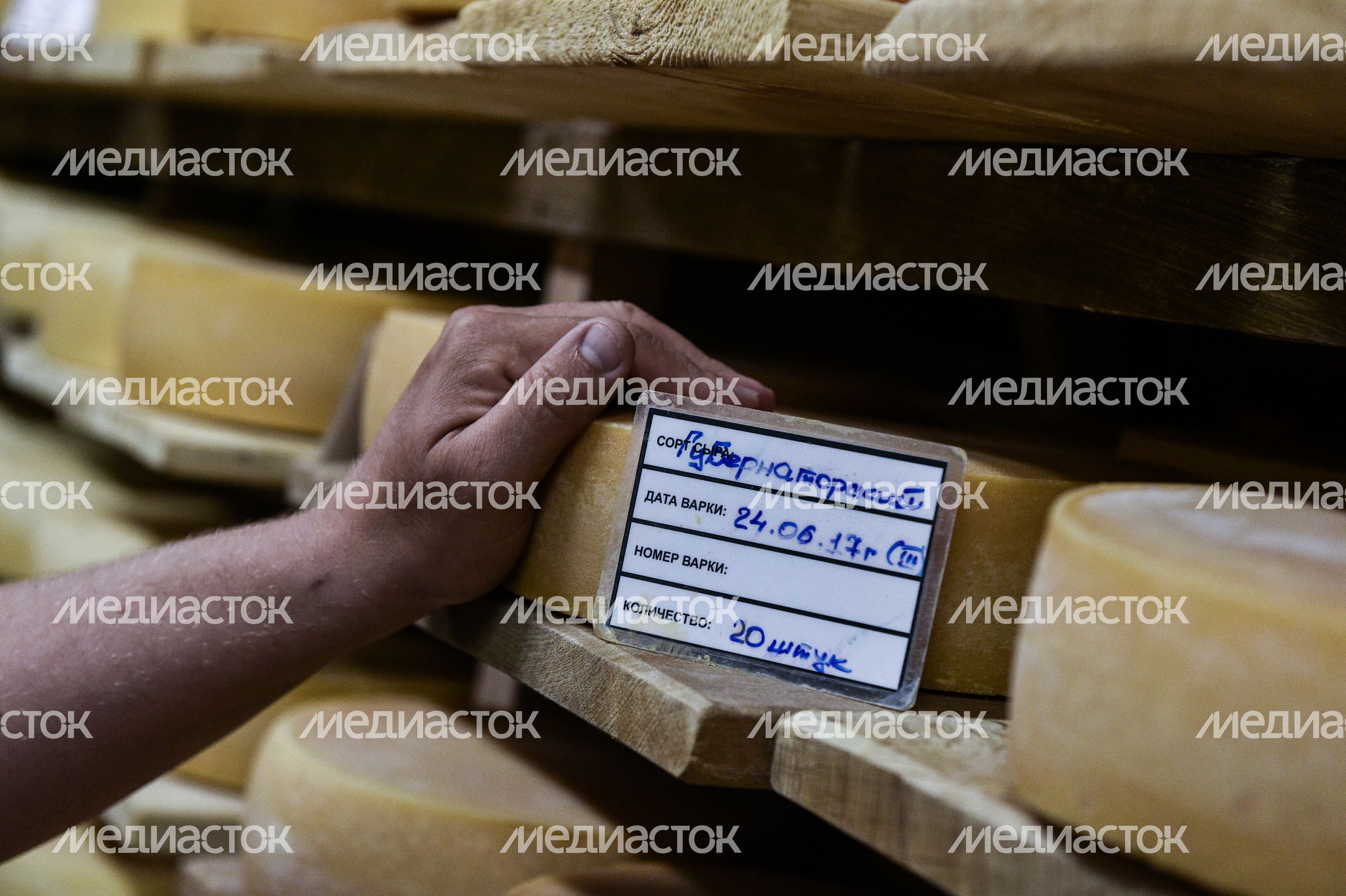 Работа сыроварни Олега Сироты в подмосковье