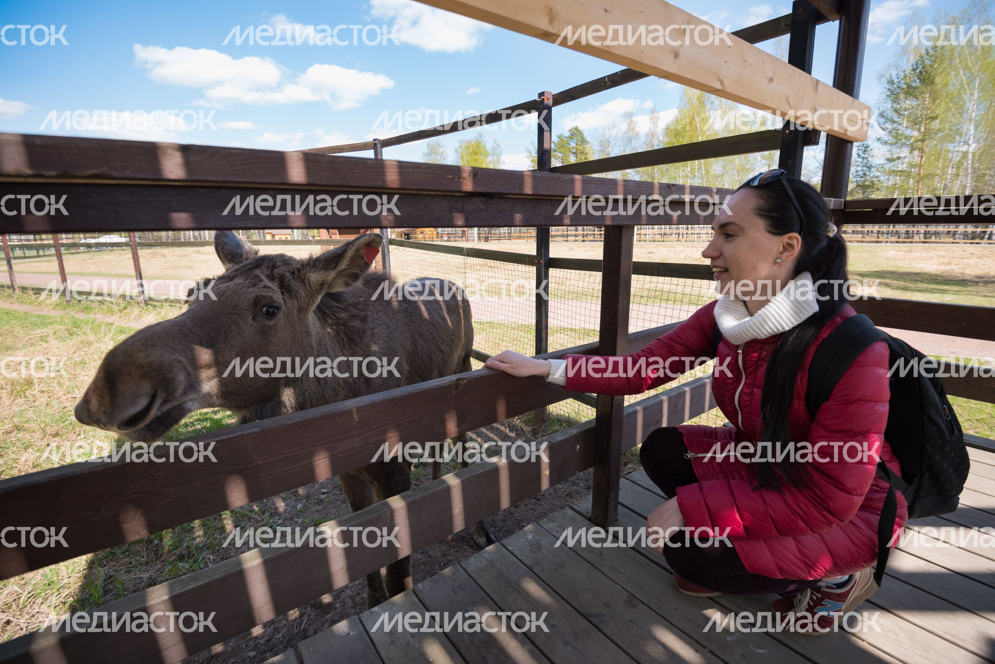 Национальный парк Лосиный остров
