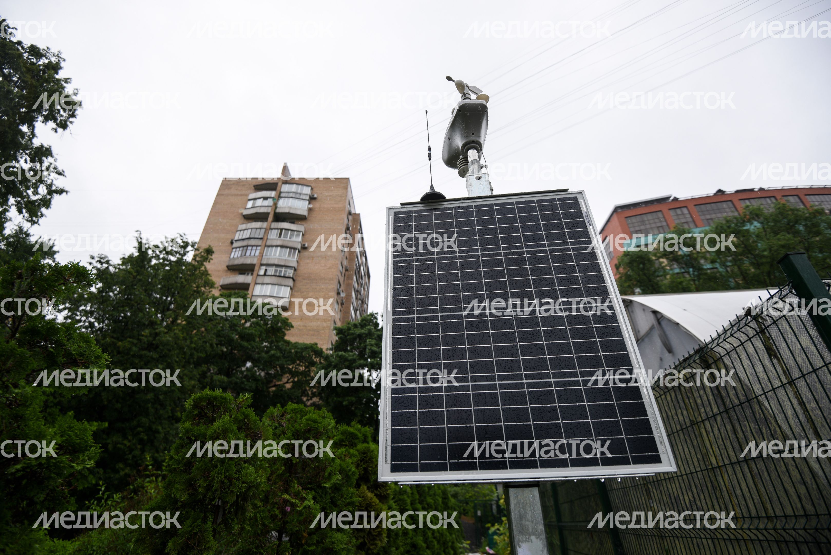 Ботанический сад МГУ «Аптекарский огород» Ботанический сад МГУ «Аптекарский огород»