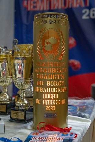 Чемпионат МО по боксу