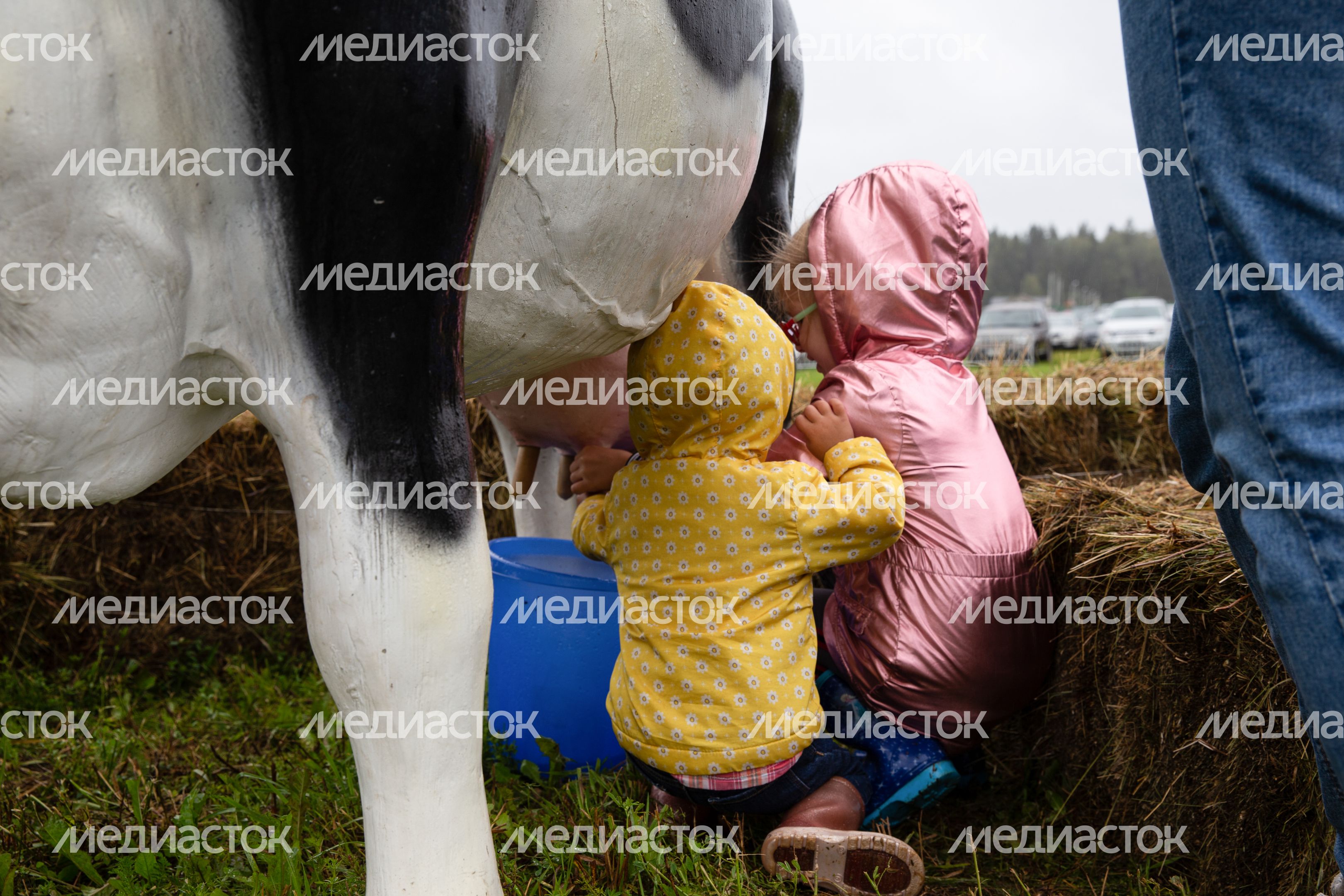 Открытие IV Всероссийского фестиваля фермерской продукции «Сыр. Пир. Мир»