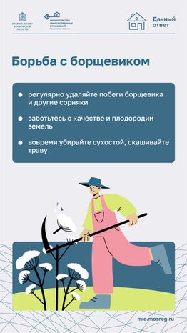 Дачный сезон штрафы-вертикаль-05