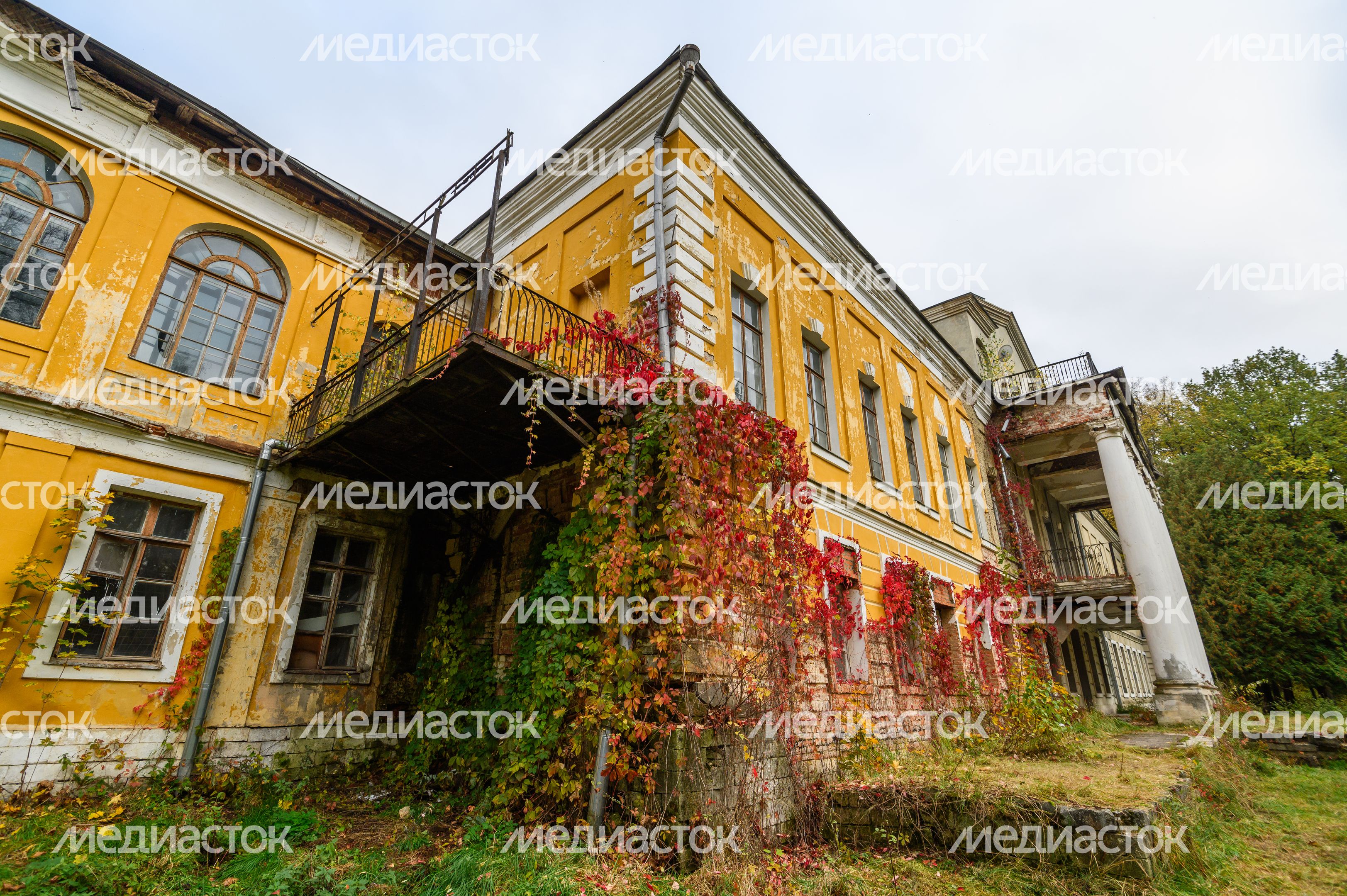 Осень в усадьбе Суханово Ленинского округа