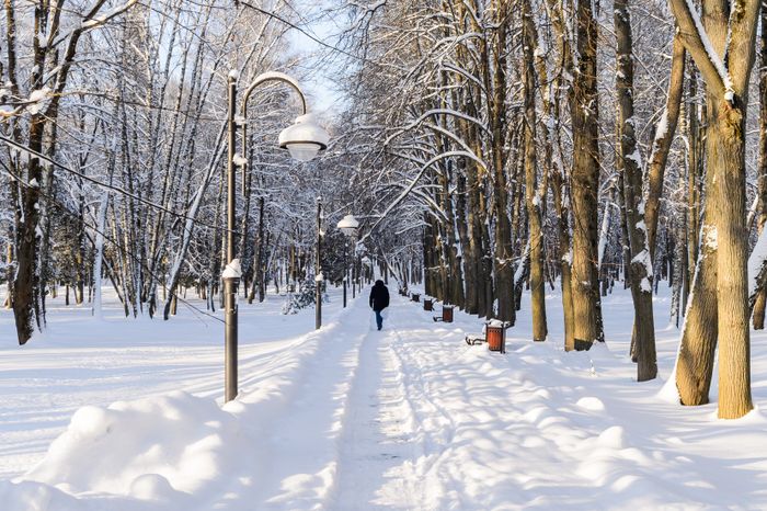Красногорск. Усадьба «Архангельское». Зима