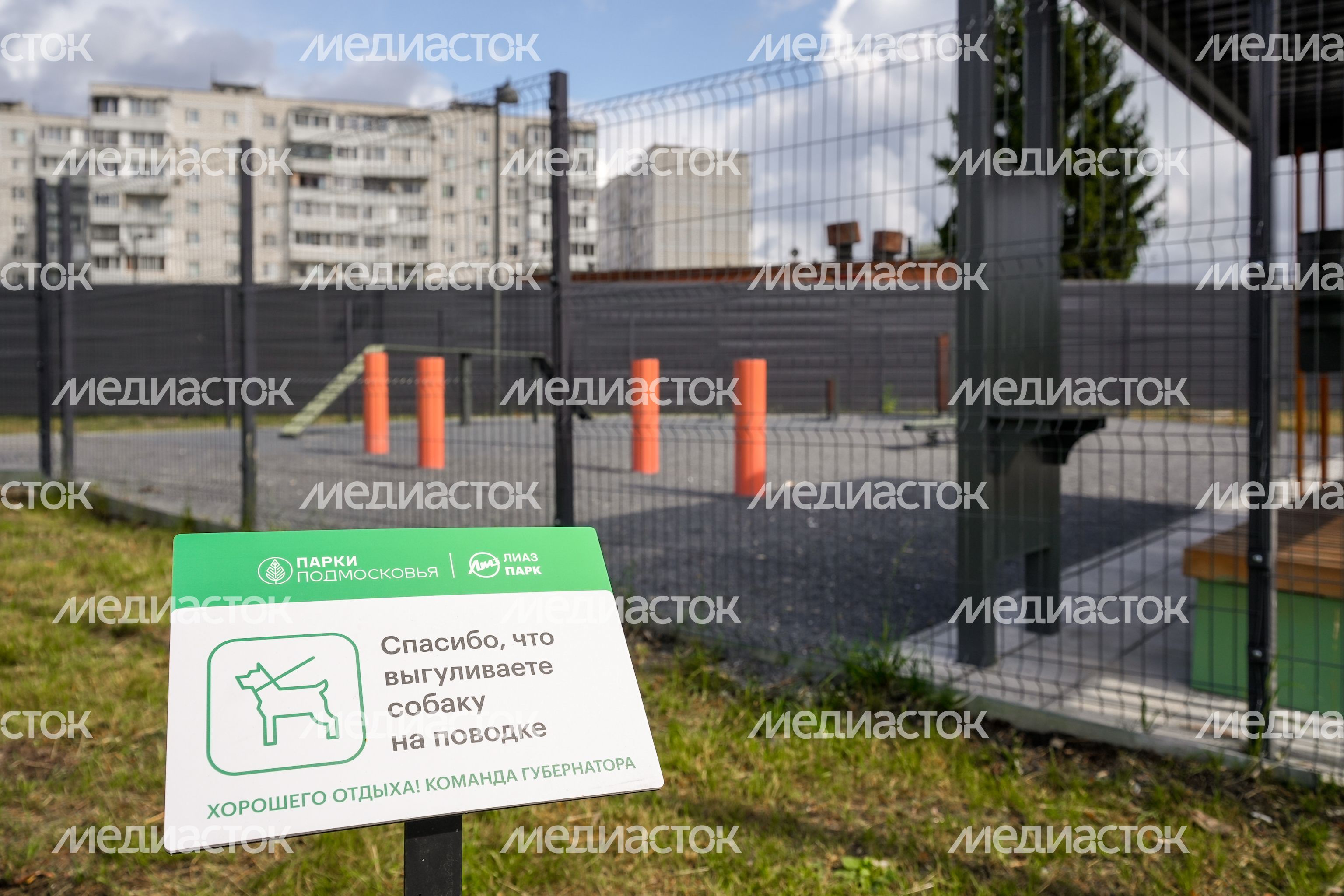 Благоустройство парка "ЛиАЗ" в Ликино-Дулеве