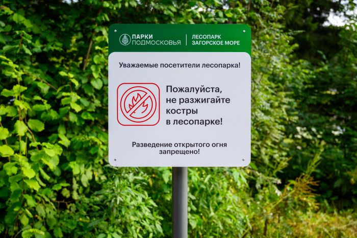 Лесопарк «Загорское море» летом в Сергиевом Посаде