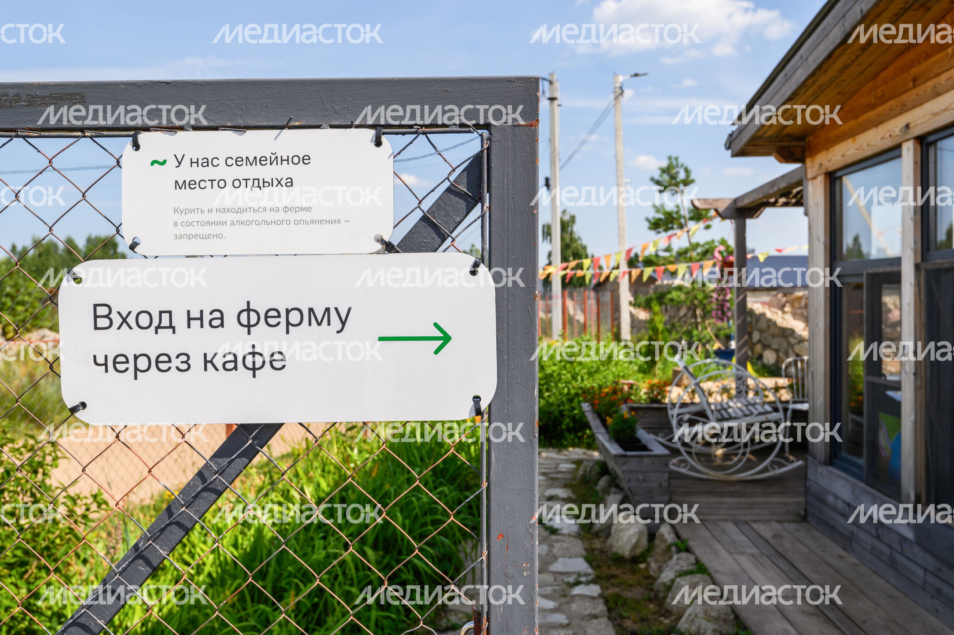 «Ферма 56» в Раменском округе