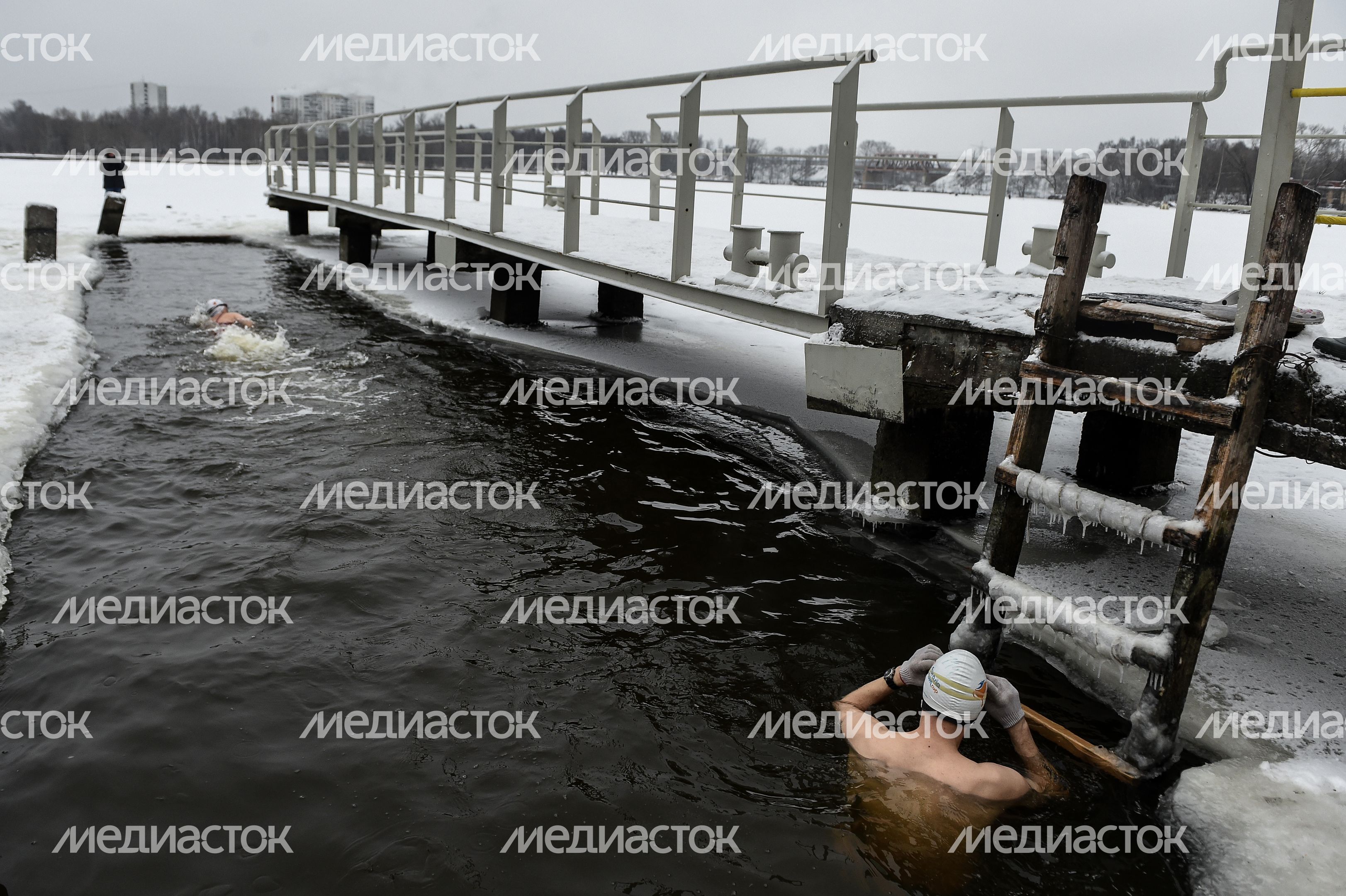 Купание моржей в Долгопрудном