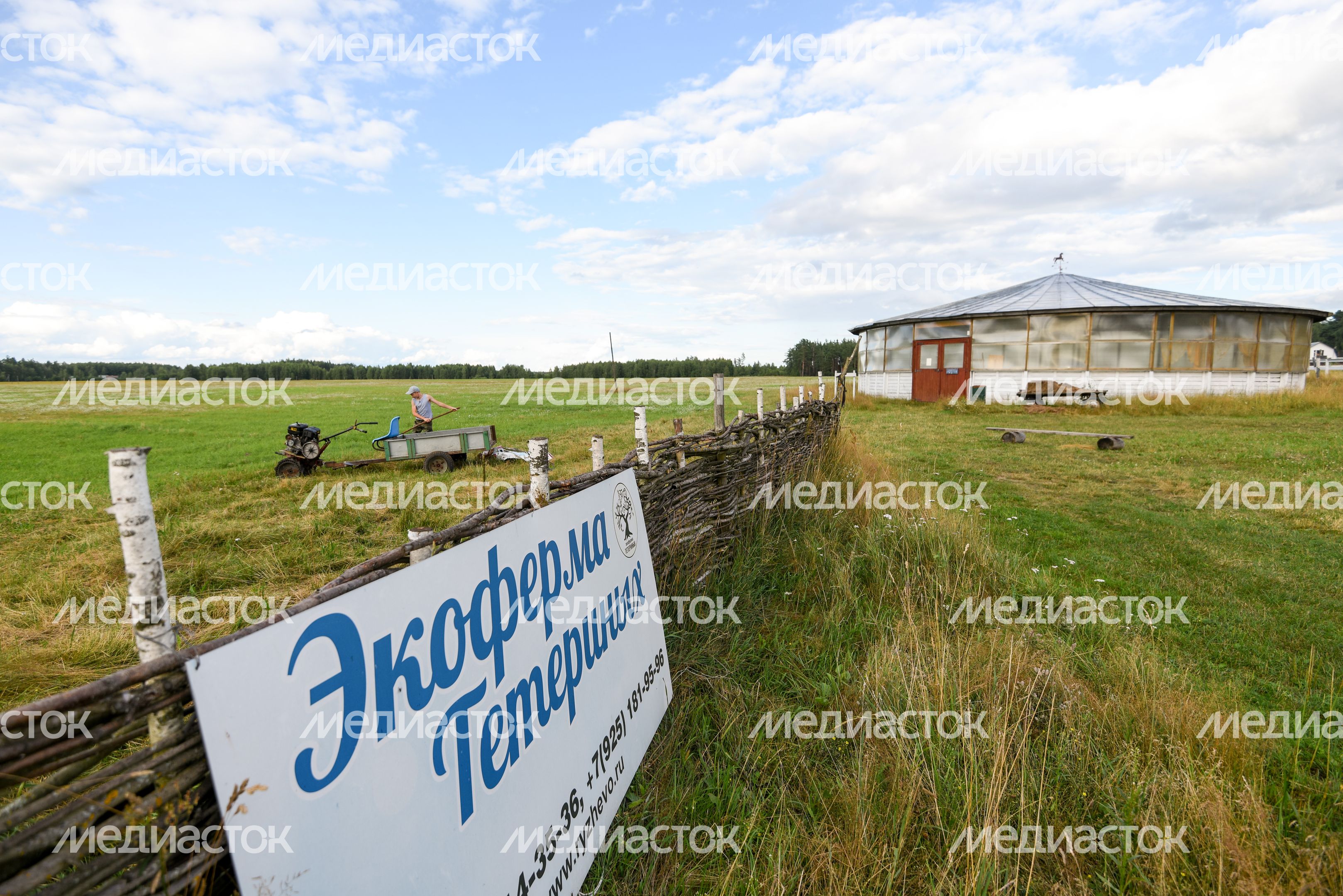 Экоферма Тетериных в деревне Рыжево Егорьевского района Московской области