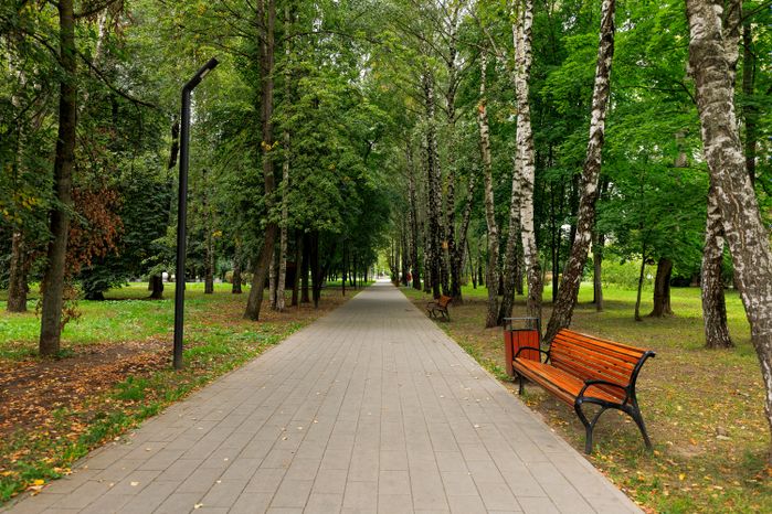 Центральный парк культуры и отдыха Долгопрудного летом (Городской парк)