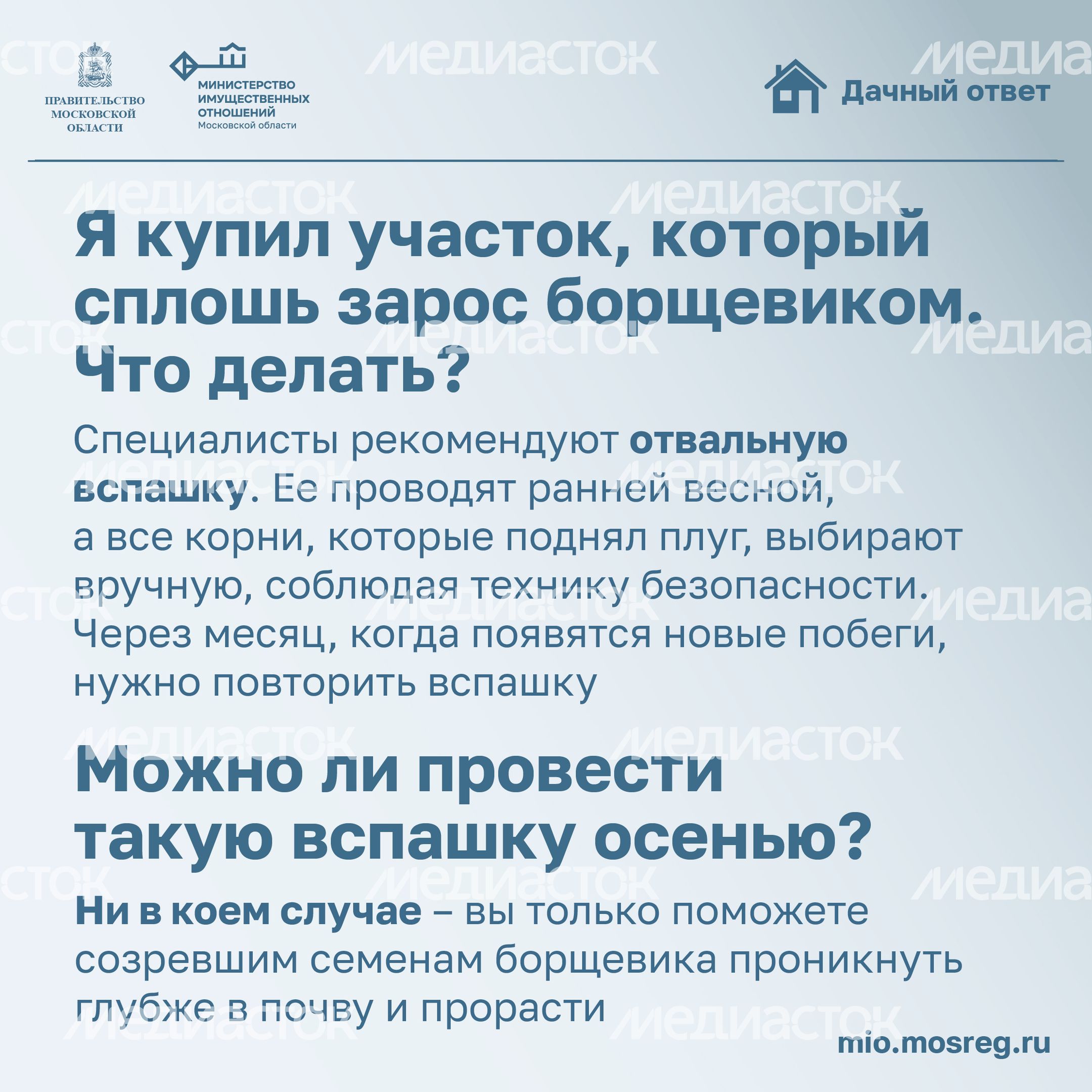 Дачный ответ_борщевик-21.jpg