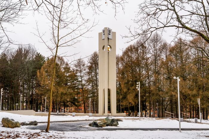 Благоустройство парка Победы в Пущино