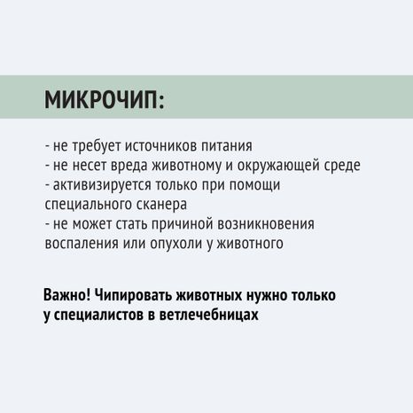 Чипирование-16.jpg
