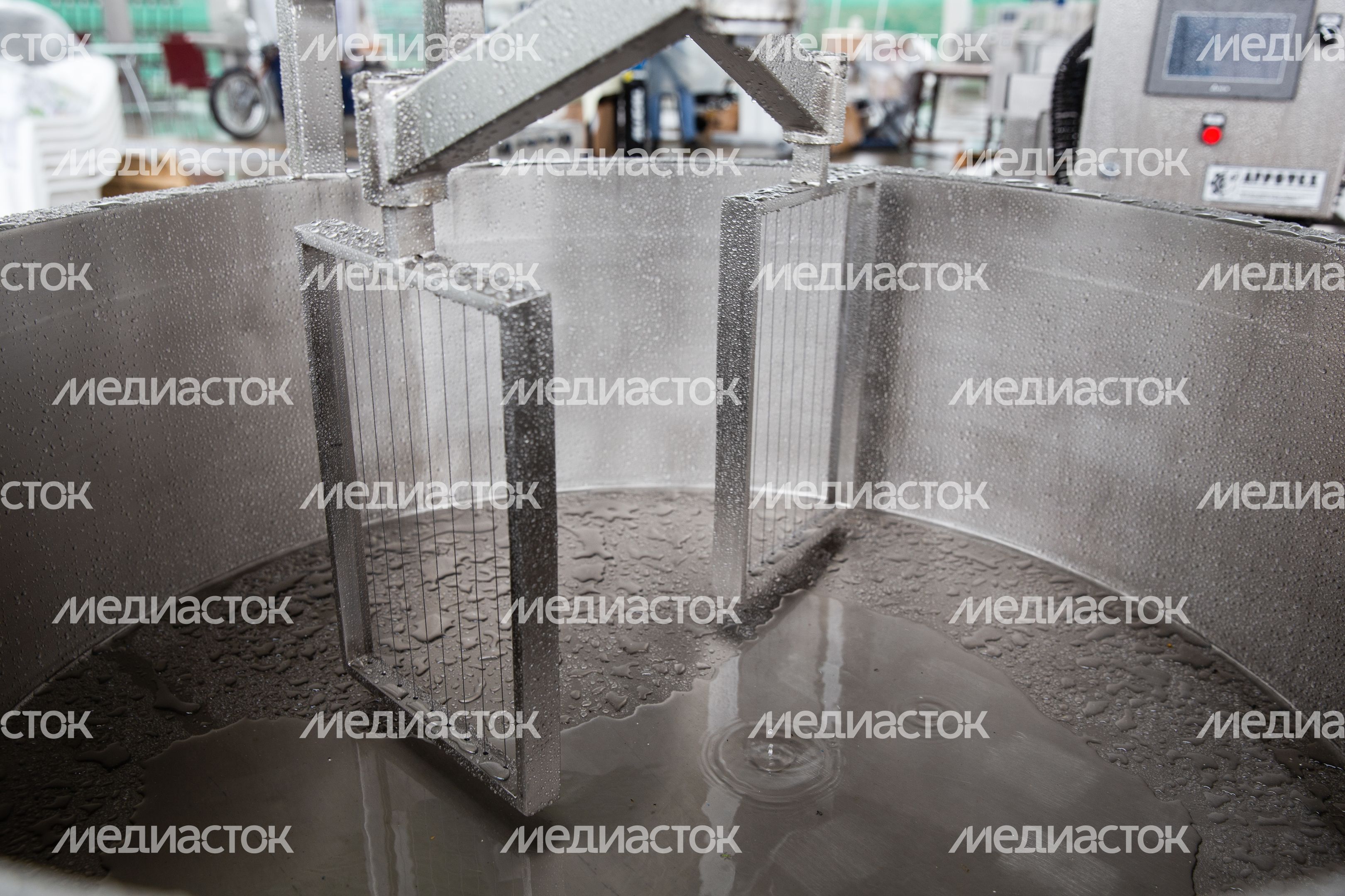 Открытие IV Всероссийского фестиваля фермерской продукции «Сыр. Пир. Мир»