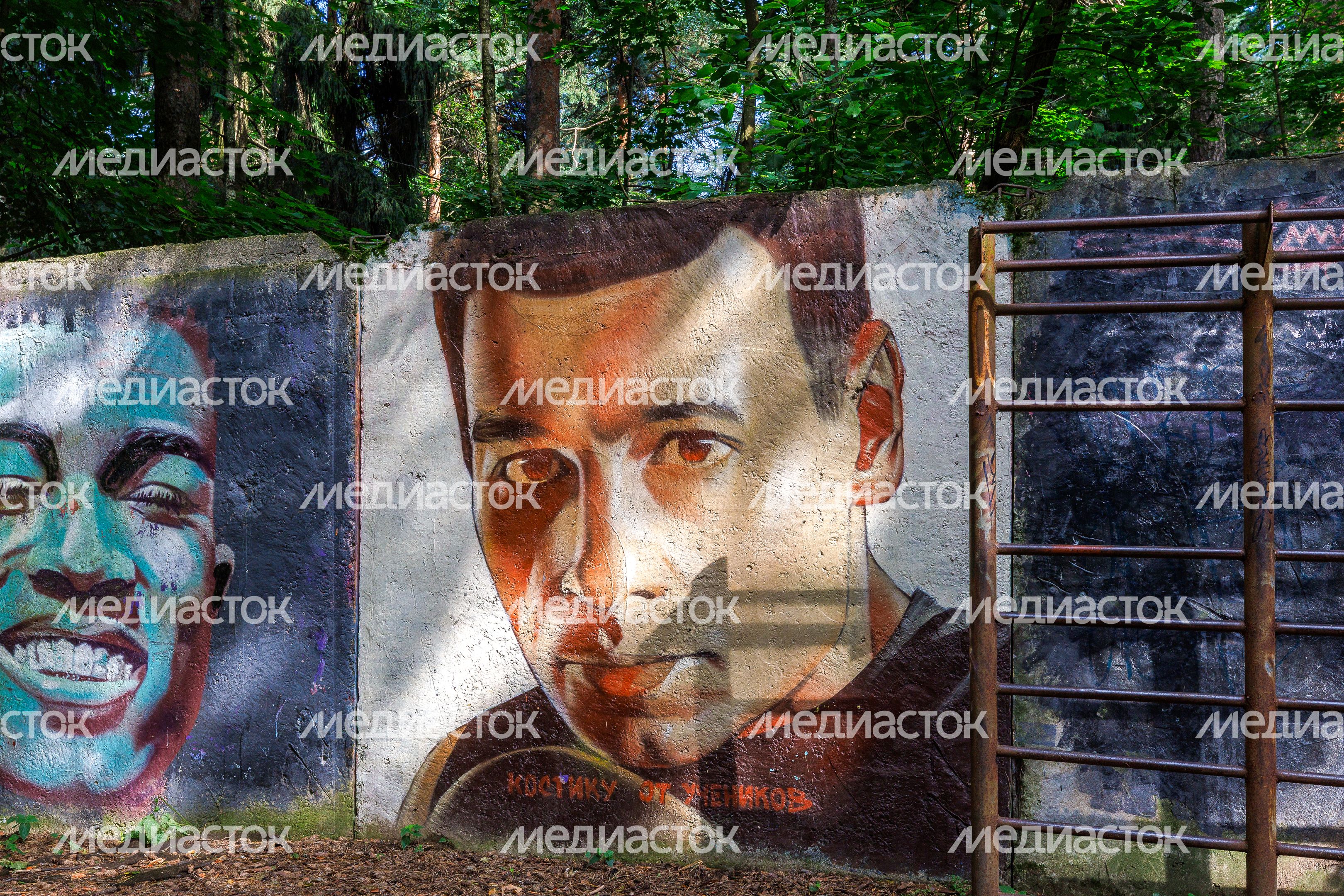 Муралы в Железнодорожном, Балашиха