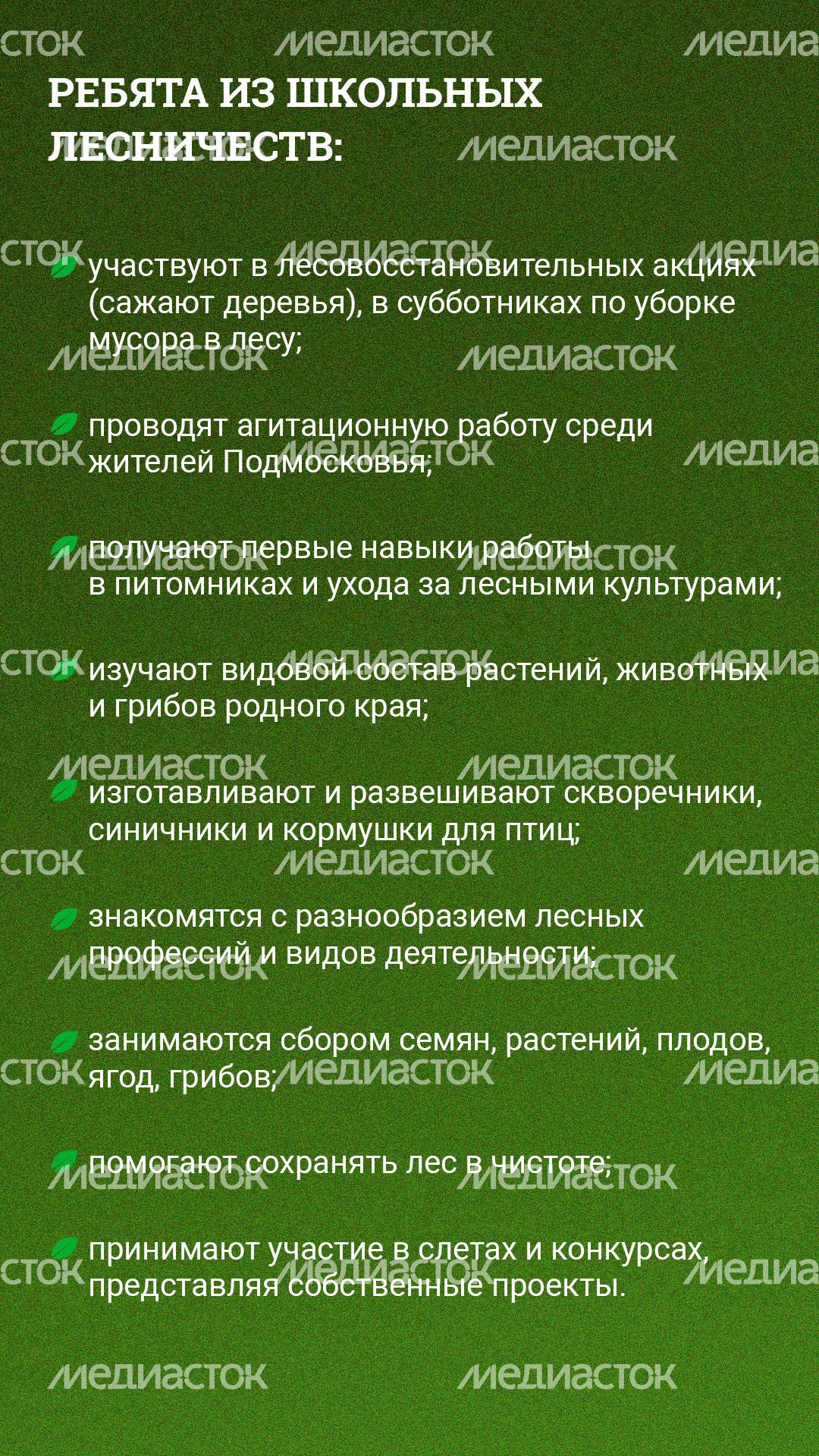 Вертикаль_Школьные лесничестваArtboard 3.jpg