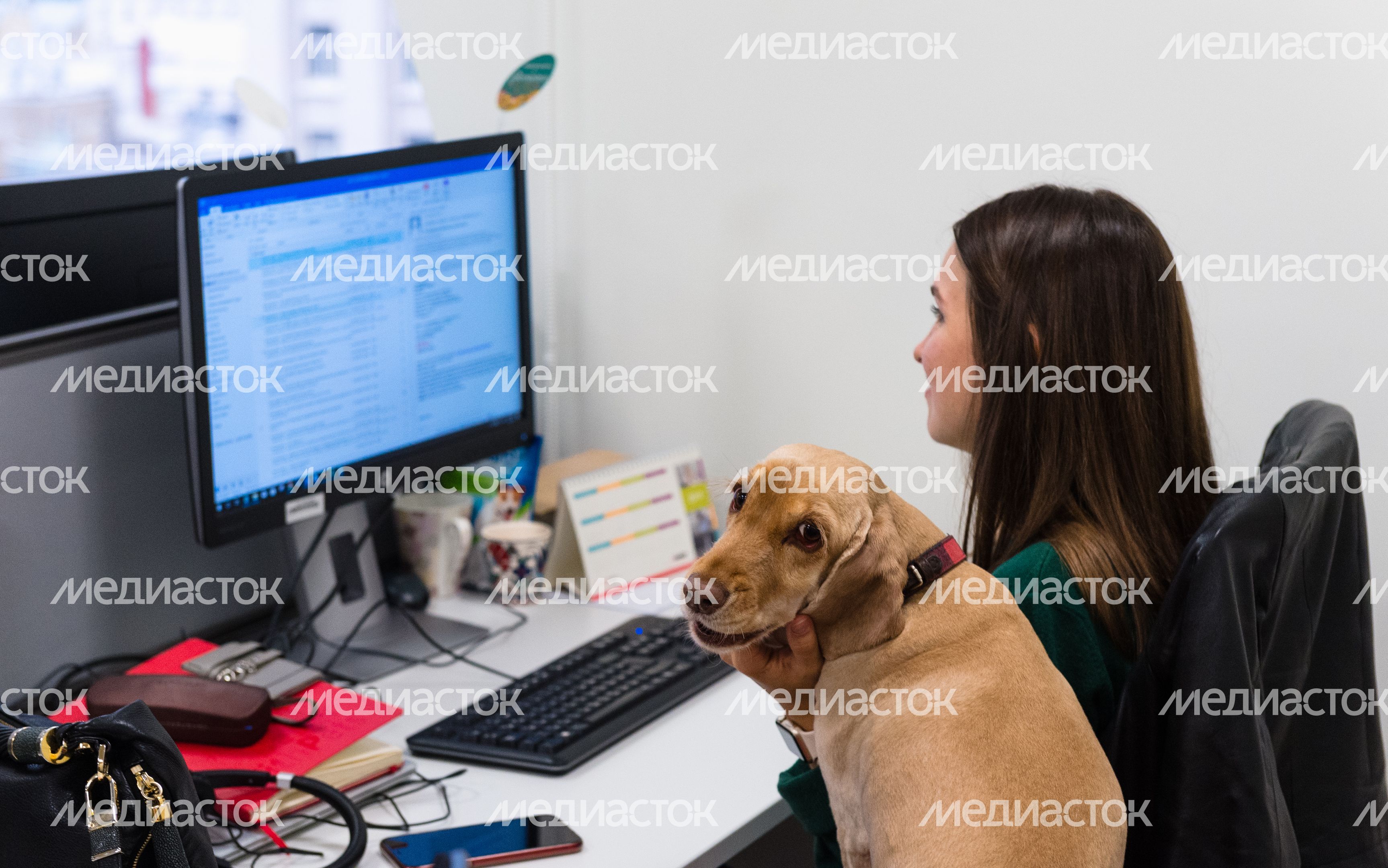 Pet‑friendly офис Purina